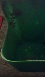 received_1274701495877872