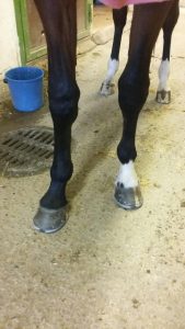 20160419_104912_resized