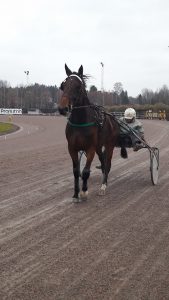 21-11c